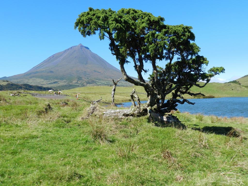 Adega Pedra Do Lagar Villa Calheta de Nesquim Екстериор снимка